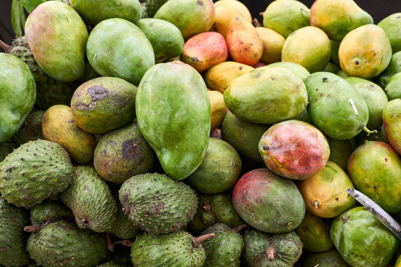 A vibrant collection of ripe mangoes and soursop, showcasing fresh, tropical produce.